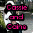 A pixelated image of a cat with overlaid text reading "Cassie and Caine Will Be Together FOREVER!!" in pink, blue, and white.
