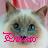 Pixelated cartoon cat face with large eyes, pink bow tie, and blurred pastel background.