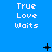 Blue background with repeated 'True Love Waits' text and scattered black pixel symbols including plus signs, crosses, and dots.