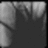 A grayscale pixelated image showing a dark central shape with lighter areas above and to the sides, resembling a stylized silhouette against a gradient background.