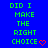 Blue background with green text reading "DID I MAKE THE RIGHT CHOICE" and red heart symbols in a pattern
