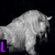Animated sequence of a gray cartoon bull walking left to right with text changing from 'L' to 'Love' in different colors.