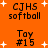 Orange background with white plus signs; text elements 'CJHS softball', 'Toy #15' in black pixelated font arranged in a pattern