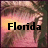 Pixelated image with 'Florida' text overlaid on a sunset scene featuring a person in a pink dress.