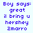 Blue pixelated text on light blue background reads 'Boy says: great il bring u hershey 2marro' in four identical vertical