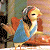 A 50x50 pixel animated buddy icon featuring a cartoon bird character in blue clothing against a green background with "OriginalIcons.com" text.