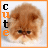 A pixelated cat face with brown fur and a white muzzle appears in two side-by-side , each containing vertical text reading "Cute"