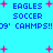 Pixelated blue background with pink plus signs and repeated blue text reading 'EAGLES SOCCER 09' CAMPS!!' in two