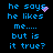 Blue pixelated text on black background reads 'he says he likes me.... but is it true?' with purple sparkles near the top-right of each phrase.
