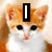 A four- shows a cat with orange and white fur, black eyes, and a pink nose. Text appears sequentially : 'I', 'love', and 'myself'