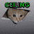 Green text labels 'CEILING' and 'BASEMENT' frame two cat faces peering through holes, with 'CAT' below each face and 'VS.' on the right.