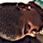 A pixelated close-up of a person with dark hair and light skin, wearing glasses, holding an object near their mouth.