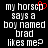 Black background with white pixelated text reading 'my horscp says a boy named brad likes me?' and a red pixelated heart symbol above 'horscp' in the left view.