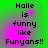 Green background with pink gradient overlay displaying text 'Halle is funny like Fuyans!!' in pixelated font across four