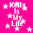 Bright pink background with white pixelated text reading "Kelly Is My Life" and scattered white stars, some with motion blur effects.