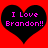 Two identical black heart shapes on a red background, each containing pink pixelated text reading "I Love Brandon!!".