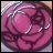 A circular pink rose with white highlights on a light background, next to pixelated text reading "AnimeIM" and "com" on black.