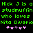 Green pixelated text on black background repeats 'Nick J is a studmuffin who loves Nita Diverio' with pink and purple heart symbols below.