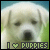 Pixelated close-up of a light-colored dog's face with green background, text 'I ♡ PUPPIES' at bottom.