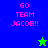 Pixelated graphic with 'GO TEAM JACOB!!' text in pink on blue and green backgrounds, featuring a green star and blue star in different positions.