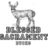 Pixelated grayscale deer icon with text elements on black and white backgrounds, orange text reads "Blessed," "Sacrament," and "Bucks."