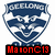 Six identical shield-shaped icons with 'GEE LONG' text at the top, each displaying 'MasonC13' in different colored backgrounds below.