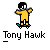 Pixel art contact sheet of a yellow stick figure performing skateboard tricks across seven animated frames with "Tony Hawk" text below each frame on gray background.