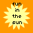 Four identical pixelated sun icons with black text "fun in the sun" on a solid orange background, arranged in a