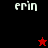 Pixelated text 'erin' appears in four quadrants with varying background colors and star symbols.