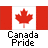 Static pixel art of a Canadian flag with red vertical bars and white central field containing a red maple leaf, below which is black text reading "Canada Pride" on gray background.