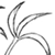 Static grayscale icon of abstract curved lines forming a stylized plant or flower shape with multiple overlapping petals/leaves on white background.