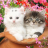 Two pixelated cats sit side-by-side on a brown surface with pink and green floral background.