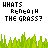 Pixelated green grassy field with pink heart shapes floating above it, under text reading WHATS BENEATH THE GRASS? in blocky font.