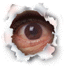 Three circular eye icons with torn paper borders on gray background; two eyes open, one eye closed.