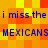 Pixelated text repeats 'i miss the MEXICANS' across a of orange and yellow squares with blue lettering