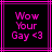 Pixelated text "Wow Your Gay <3" in magenta on black background with pink border, two identical frames side-by-side