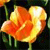 A pixelated orange and yellow flower with green stems against a dark background, appearing as a static digital image.