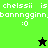 Pixelated text displays 'chelssii is bonnngginn' with ':0' below, over green and black backgrounds, featuring a black star and green star icon.