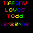 Pixelated text displays 'Tiffany loves Todd' and 'L2x23x05' in rainbow colors across three on a black background