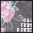 identical pink rose illustrations with green leaves on a dark gray background, each containing text reading 'KISS FROM A ROSE' in white and light pink lettering