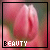 nine identical pink tulip bud images with 'BEAUTY' text below each, one empty on the right