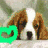 Four dog images arranged in a with colored heart icons: brown-and-white Saint Bernard, black-brown German Shepherd, white poodle on grass, and small white dog on snow