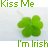 A 48x48 pixel animated buddy icon featuring a four-leaf clover with