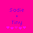 Pixelated text and symbols on a bright pink background with two identical static frames showing 'Sadie + Tiny' and five pink stars below.