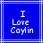 Blue background with white lines and pixelated text reading "I Love Caylin" in three lines