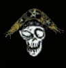 Animated skull wearing a pirate hat with star and crossbones, showing mouth opening/closing animation against black background.