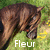 A brown horse with a dark mane stands on green grass with yellow flowers, its head lowered as white text appears sequentially across four