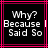 Black background with pink border, white pixelated text reading Why? Because Said So in three lines