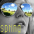 A static icon shows a stylized face with two circular eyes containing spring landscapes, and the word 'spring' in yellow text below.