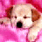 Animated contact sheet showing a puppy icon with pink background and 'CUTIE' text animation across six frames.